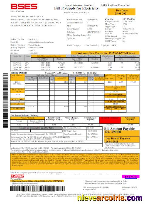 INDIA BSES electricity utility bill